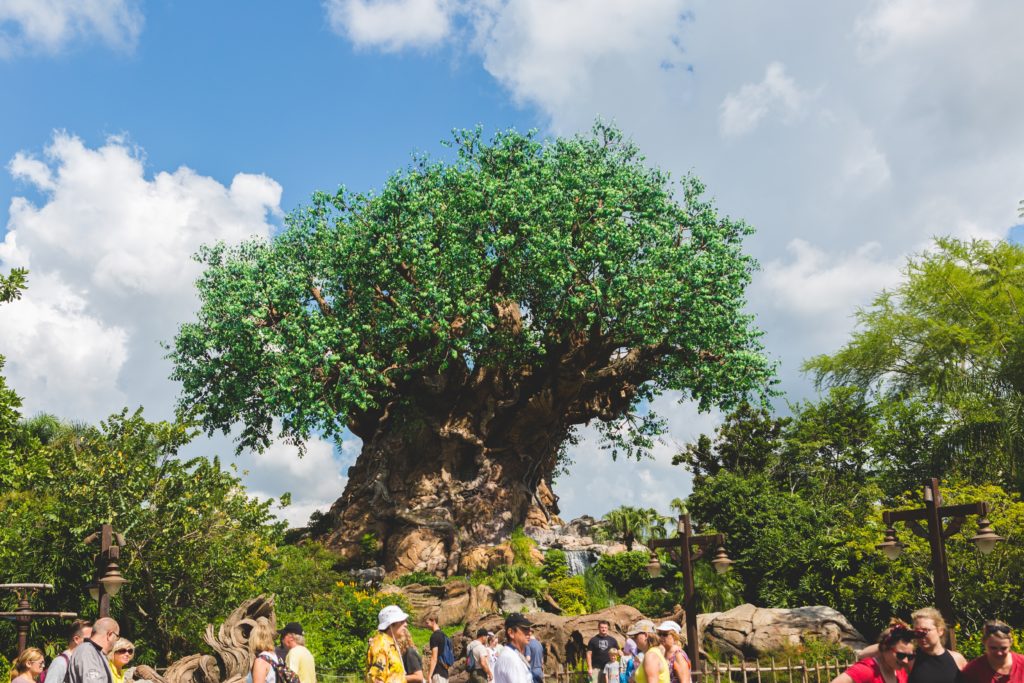 Animal Kingdom