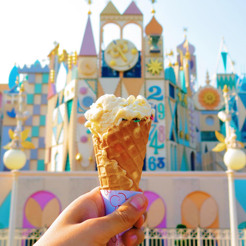 Getting ready for Disneyland