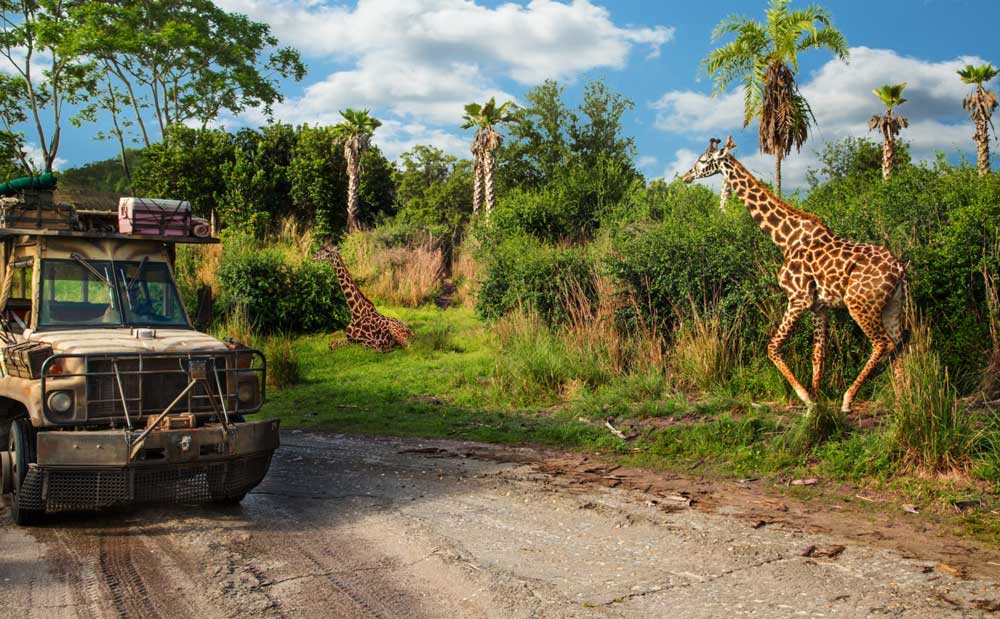 Animal Kingdom rides for toddlers