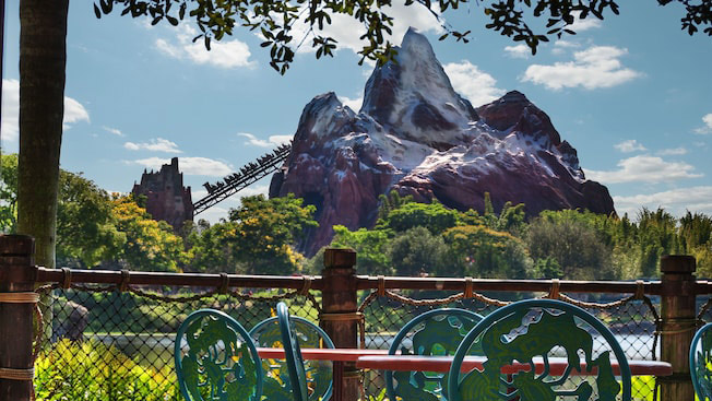 best quick service animal kingdom