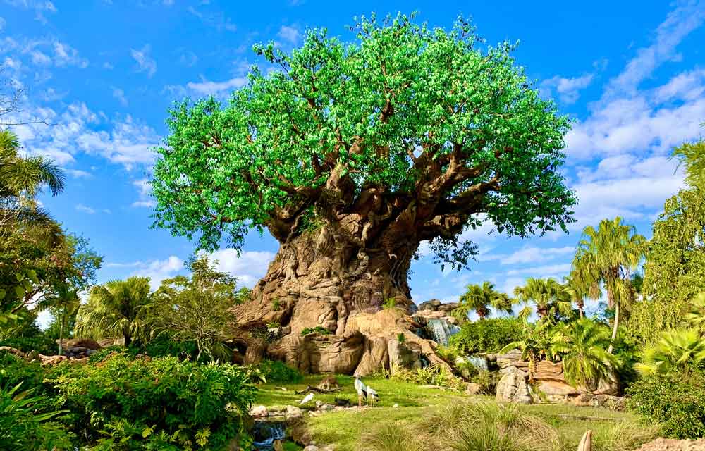 Best food at Animal Kingdom Theme Park 247